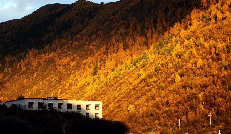 成都、四姑娘山、長(zhǎng)坪溝3日自駕游